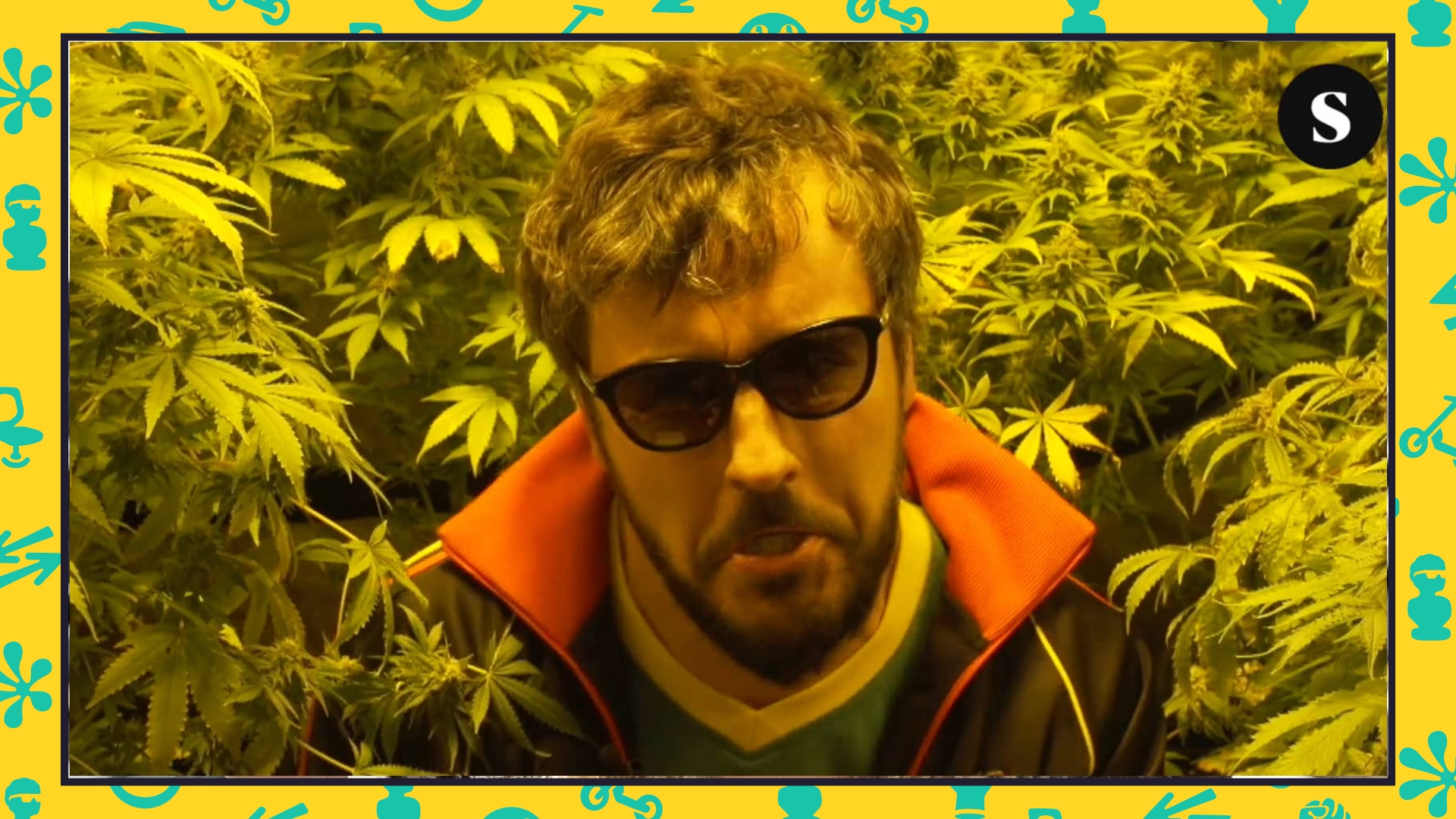 Cannabis, the green industry