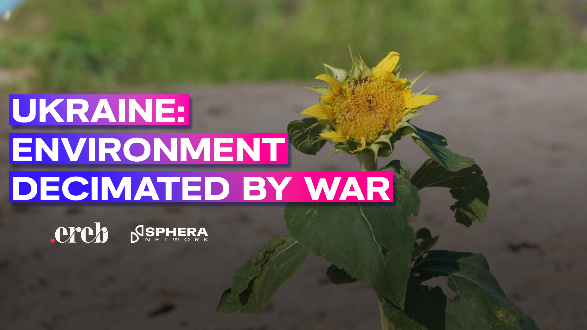 In Ukraine, environment has become another victim of the war