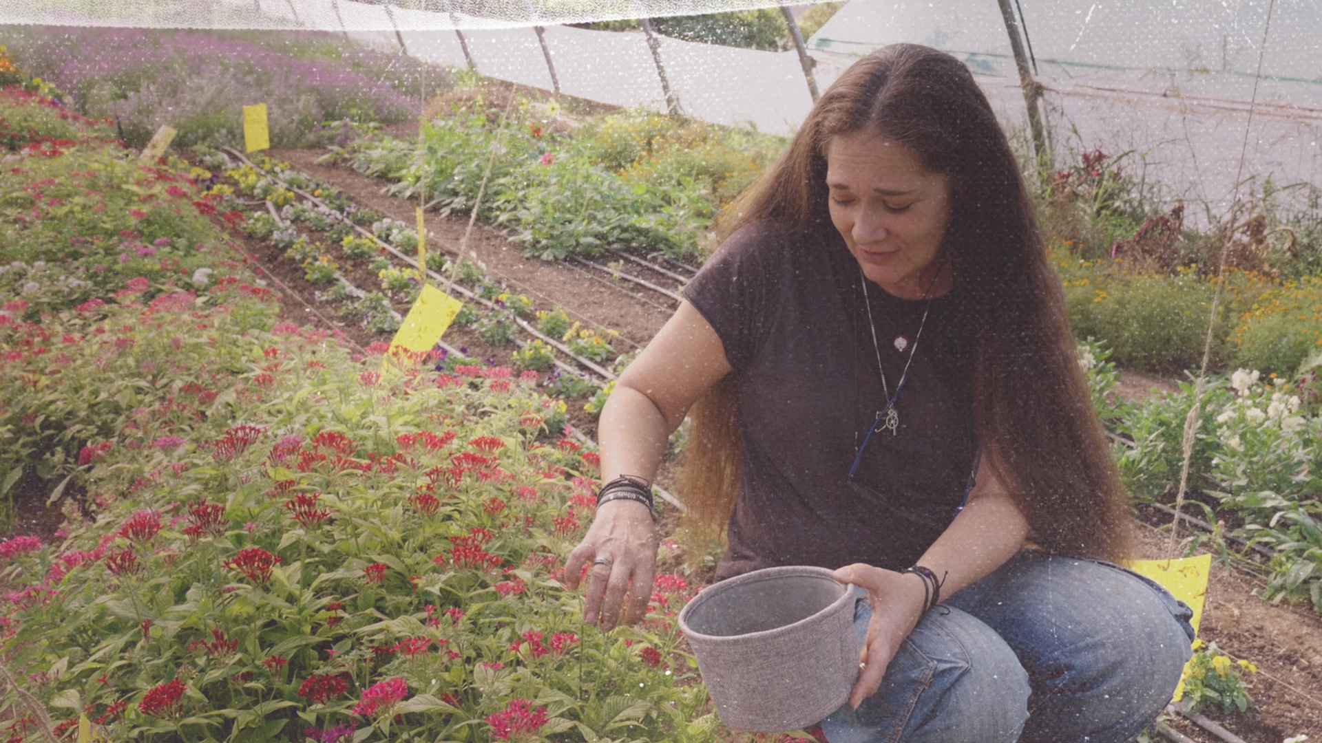 In Greece, the slow disappearance of small-scale farms