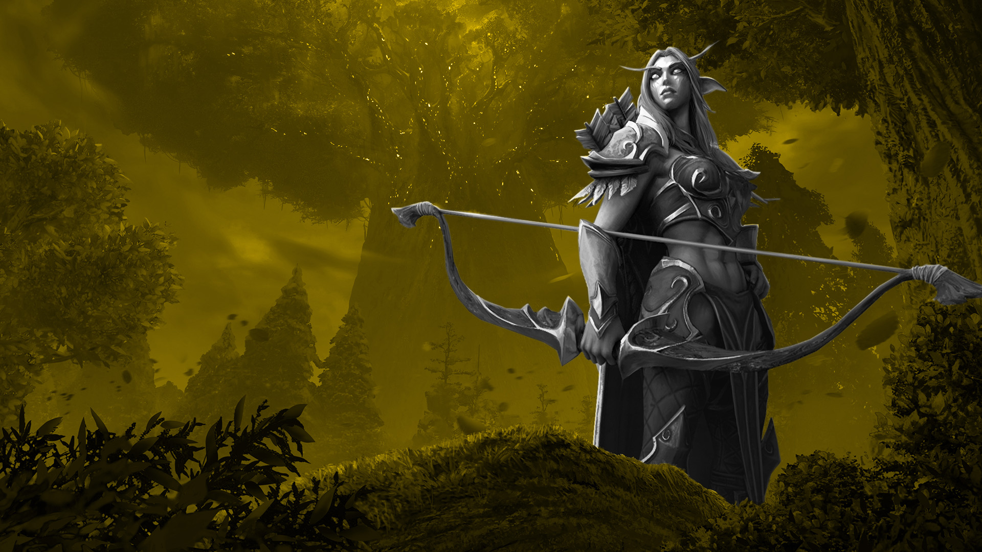 Forest Elves VS Polish State Forests
